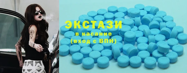 твердый Мегион