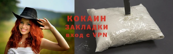 твердый Мегион