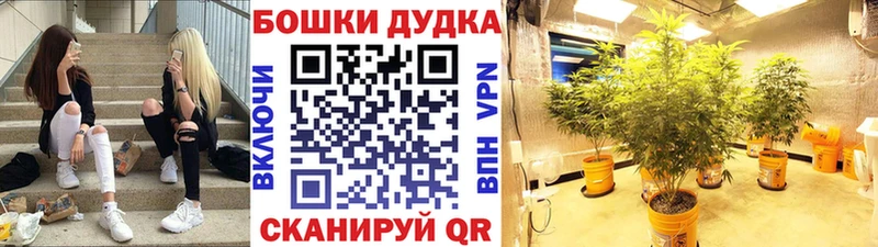 МАРИХУАНА SATIVA & INDICA  Купить где  Энгельс 